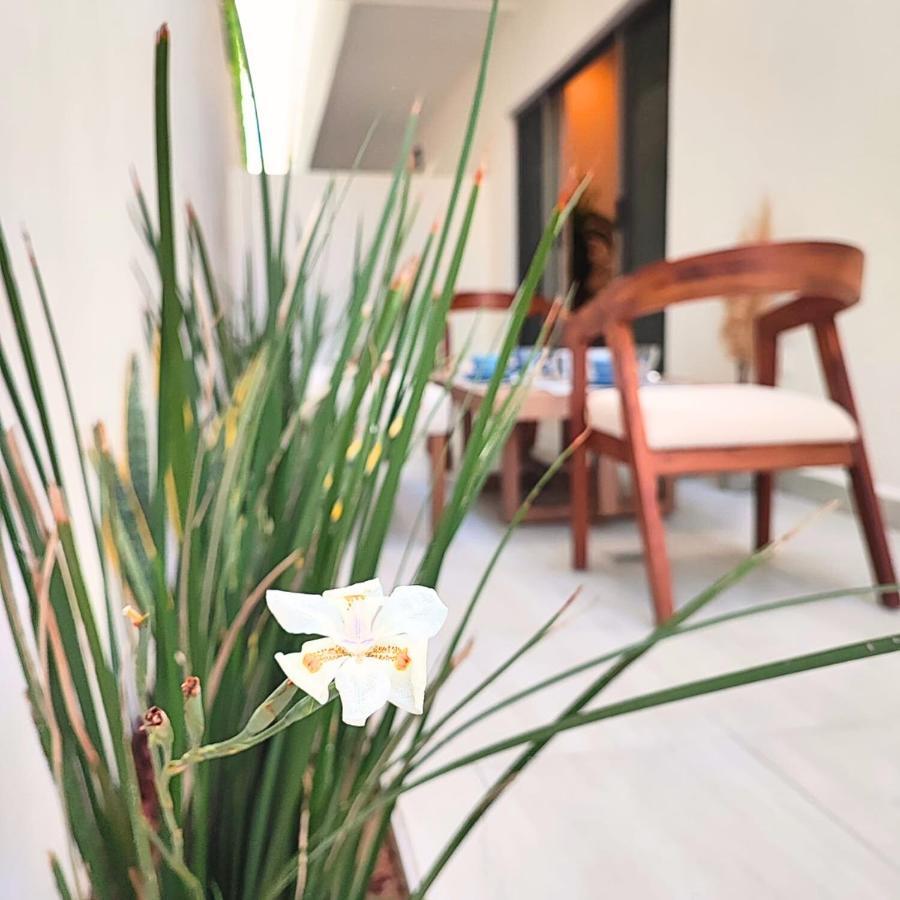 Costa Azul Sunnyadventuretravel Apartment La Paz Bagian luar foto